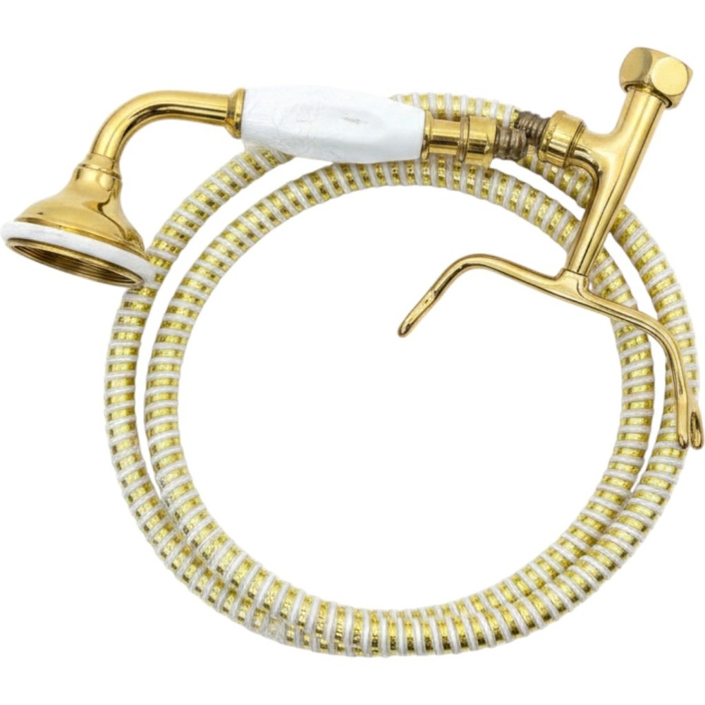 Polished Brass Handheld Shower Head with Spiral Hose and Cradle Gold No Markings